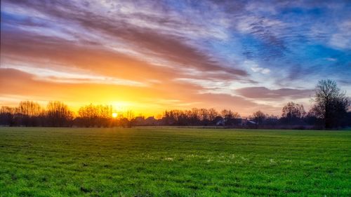 Scenic view of field against sky during sunset