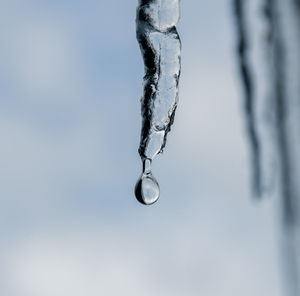 Close-up of icicles against sky