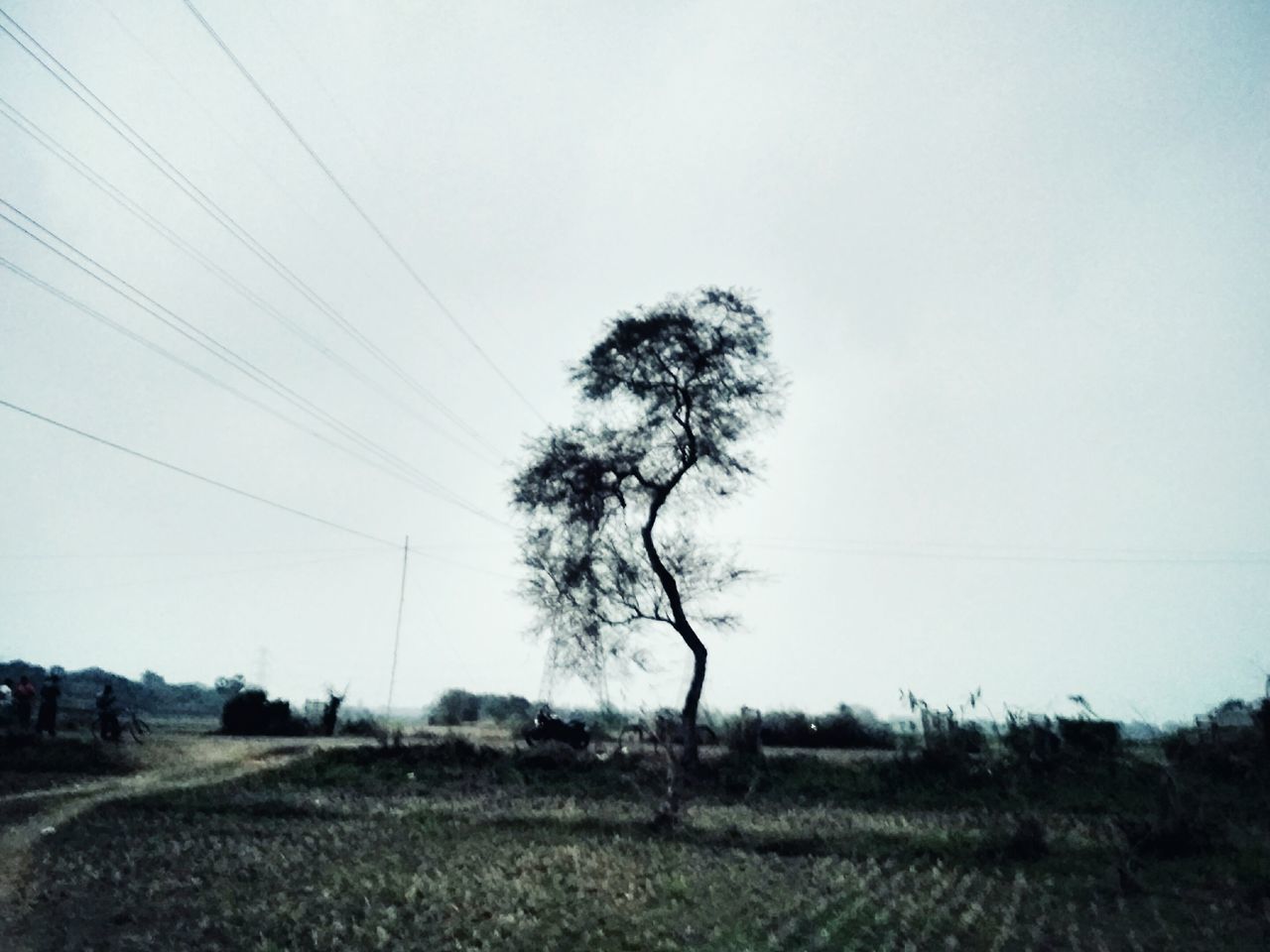 SCENIC VIEW OF LANDSCAPE AGAINST CLEAR SKY