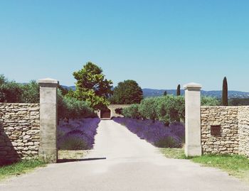 Walkway leading to empty road against clear blue sky
