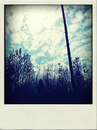 Trees on landscape against cloudy sky