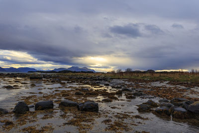 Scenic view of beach against sky