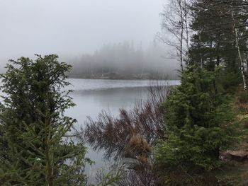 Scenic view of lake in forest against sky