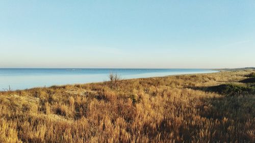 Scenic view of beach