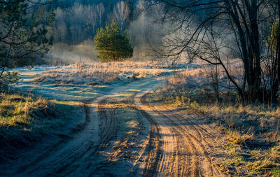 A beautiful spring landscape with a gravel road. springtime scenery of an old road in europe.