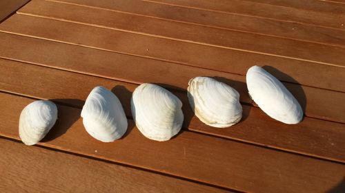 High angle view of eggs on table