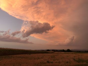 Scenic view of field against sky during sunset