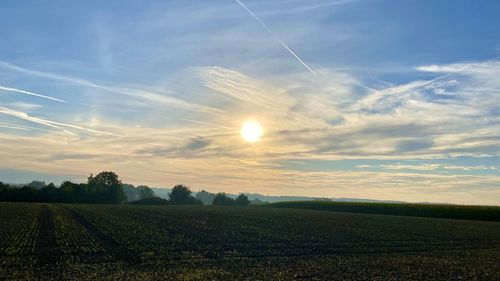 Scenic view of field against sky