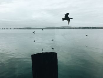 Man jumping in sea against sky