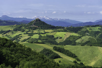 Scenic view of agricultural field against sky