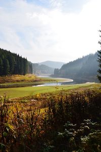 Scenic view of landscape against sky