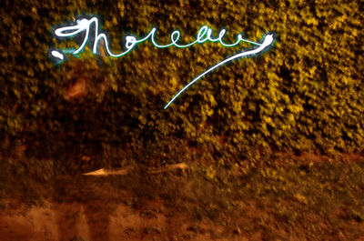 View of text at night