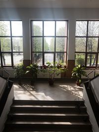 Potted plants on glass window