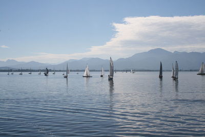 Sailboats sailing in sea against sky