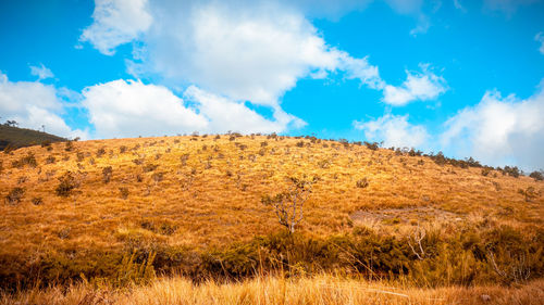 Low angle view of land against sky