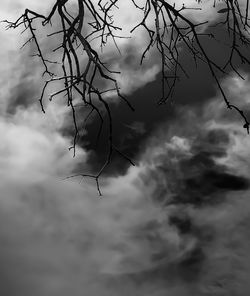 Low angle view of bare tree against sky