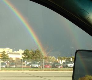 Rainbow over trees