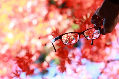 Cropped hand holding eyeglasses against autumn trees