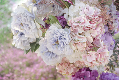 Close-up of fresh purple flowers in garden