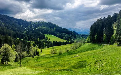 Scenic view of green landscape against sky