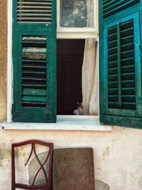 Cat seen through window of house