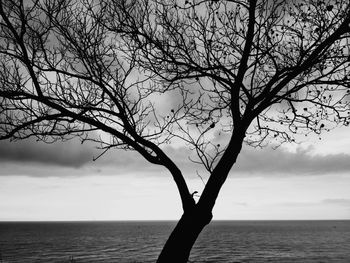 Silhouette bare tree by sea against sky