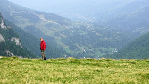 Scenic view of grassy field