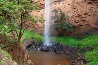 Scenic view of waterfall in forest