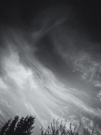 Low angle view of tree against cloudy sky