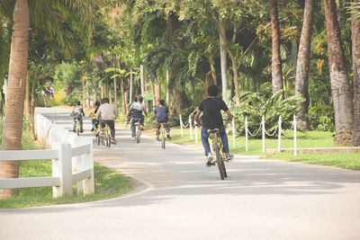 Rear view of man riding bicycle on road in park