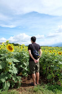 Rear view of woman standing on sunflower land against sky