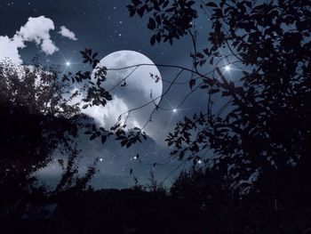 Low angle view of tree against sky at night