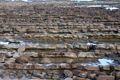 High angle view of rocks