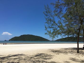 Scenic view of beach against clear blue sky