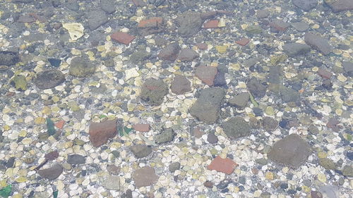 High angle view of stones on beach