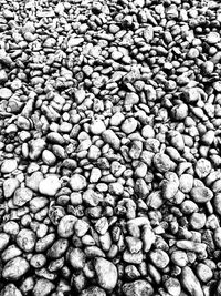 Full frame shot of coffee