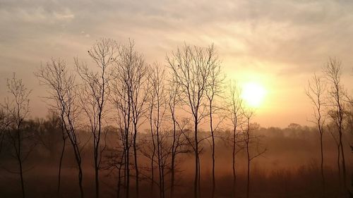 Bare trees against sky during sunset