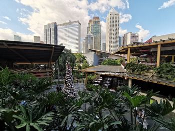 Plants growing in city against buildings