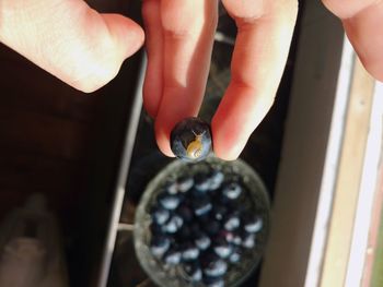 High angle view of person preparing food