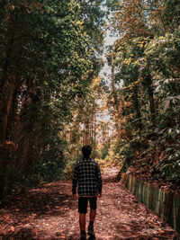 Rear view of woman walking on footpath in forest