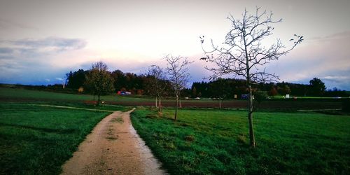 Dirt road amidst field against sky during sunset