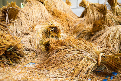 Close-up of hay bales