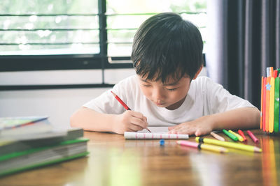 Portrait of boy holding table at home