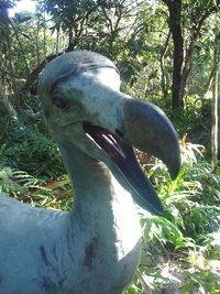 Close-up of bird on tree