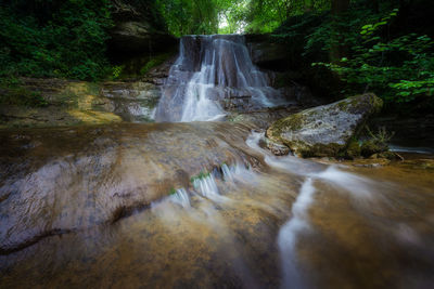 Scenic view of waterfall in forest