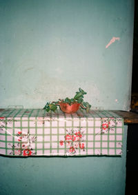 Close-up of potted plant on table against wall