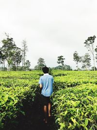 Rear view of man walking on landscape against clear sky