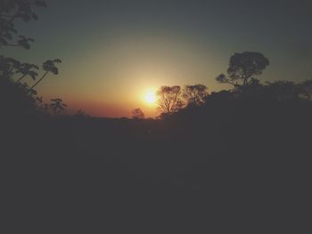 Sun shining through trees