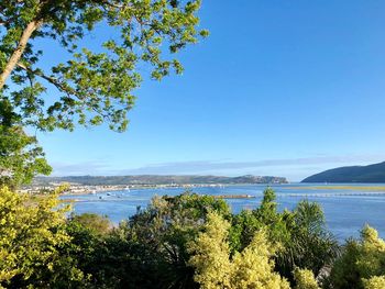 Scenic view of sea against clear blue sky