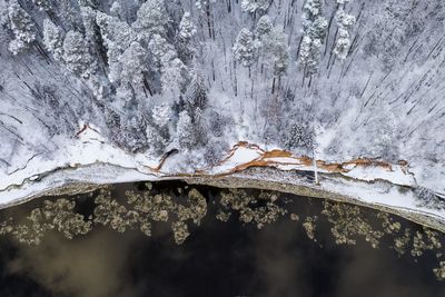 High angle view of snow covered trees by lake in forest
